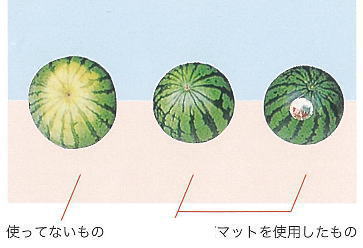 トスコマットの使用例